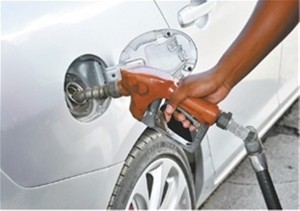 GASOLINA