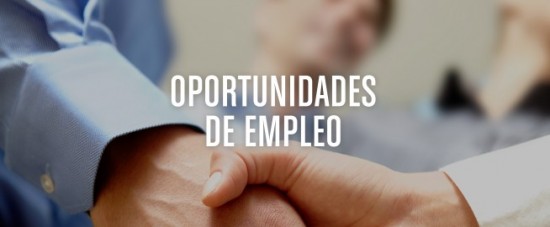 empleo