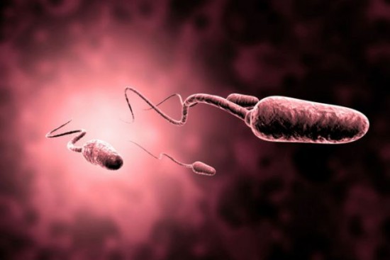 esperma